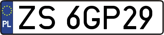 ZS6GP29