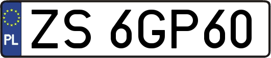 ZS6GP60