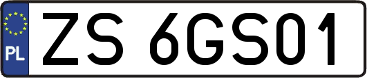 ZS6GS01