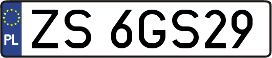ZS6GS29