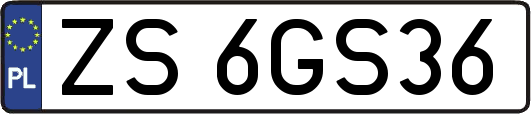 ZS6GS36