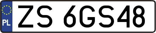 ZS6GS48