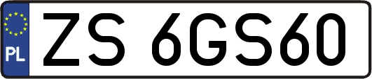 ZS6GS60