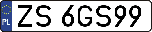 ZS6GS99