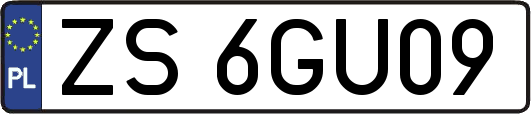 ZS6GU09