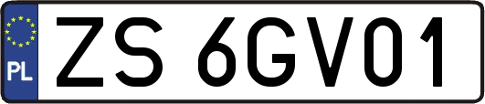 ZS6GV01