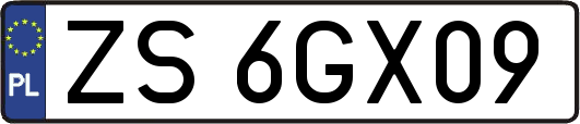 ZS6GX09