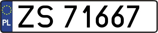 ZS71667