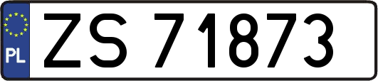 ZS71873