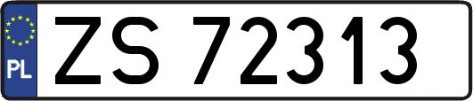 ZS72313