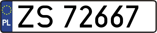 ZS72667