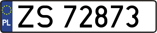 ZS72873