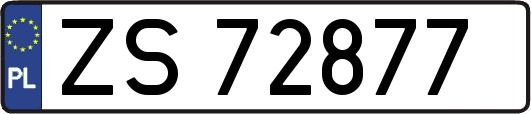ZS72877