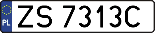 ZS7313C