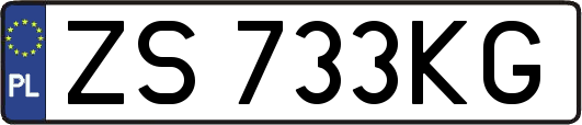 ZS733KG