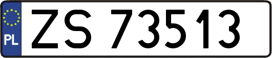 ZS73513