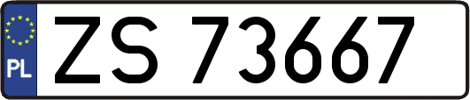 ZS73667