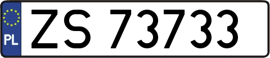 ZS73733