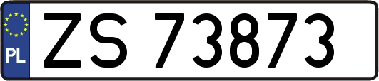 ZS73873
