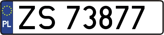 ZS73877