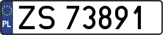 ZS73891