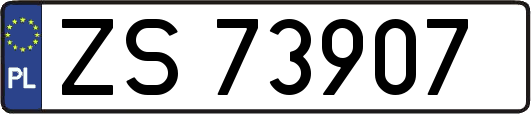 ZS73907