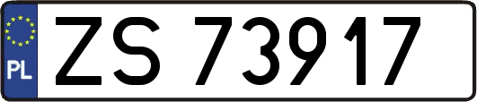 ZS73917