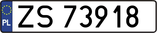 ZS73918