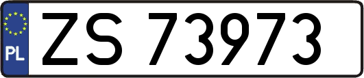 ZS73973
