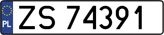 ZS74391