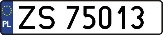 ZS75013