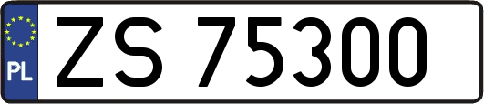 ZS75300