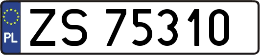 ZS75310