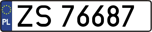 ZS76687