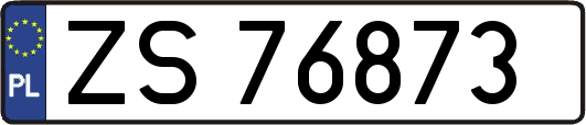 ZS76873