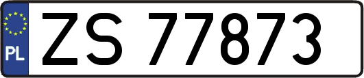 ZS77873