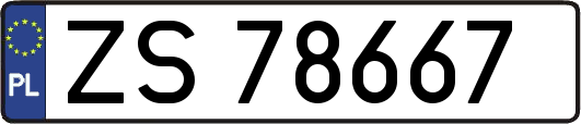 ZS78667