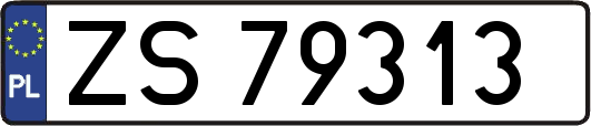 ZS79313