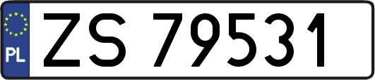 ZS79531