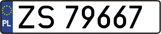 ZS79667