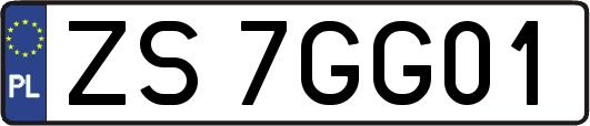 ZS7GG01