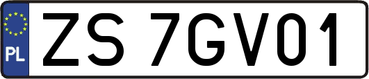 ZS7GV01