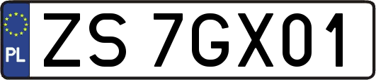 ZS7GX01