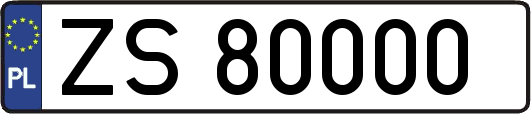 ZS80000