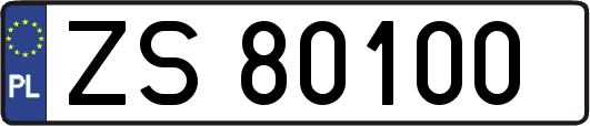 ZS80100