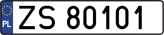 ZS80101