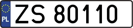 ZS80110