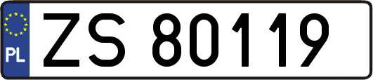 ZS80119