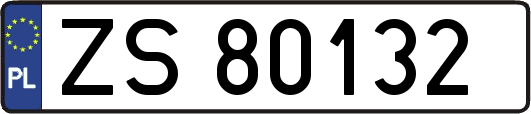 ZS80132