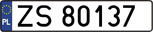 ZS80137